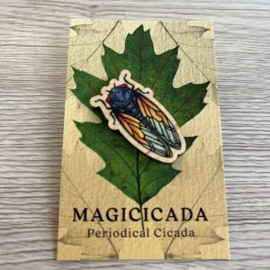 Cicada wooden pin