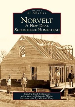 51Og9ckeuNL._SY445_SX342_