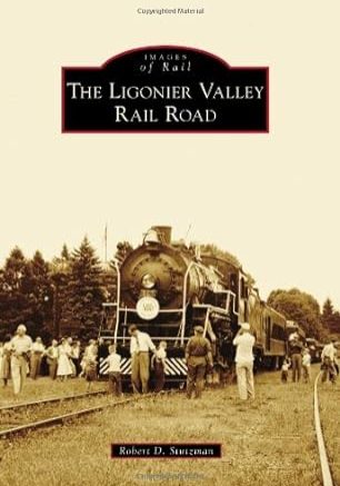 51fEYeiwp9L._SY445_SX342_