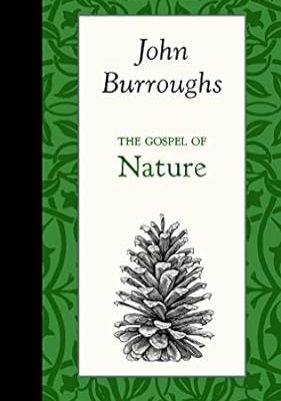 51uMWzBXR7L._SY445_SX342_