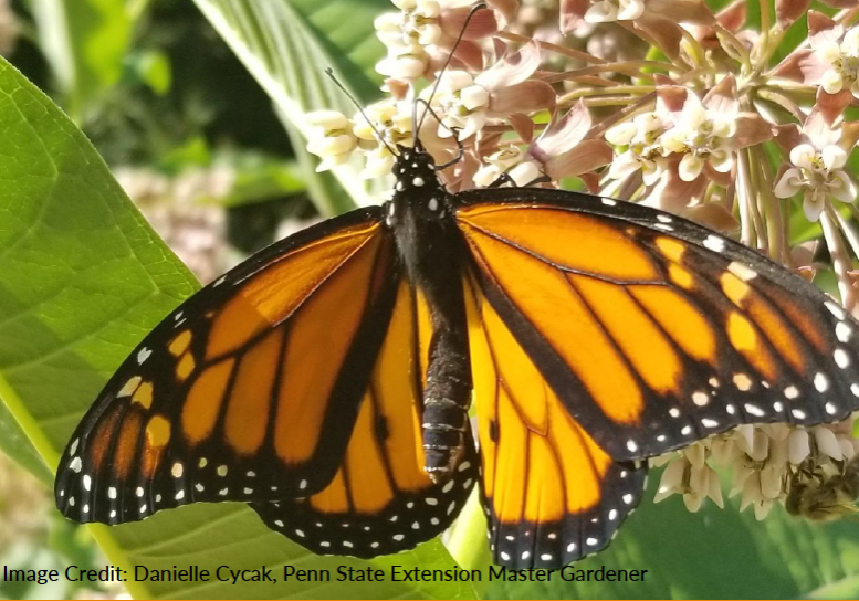 Screen Shot 2020-08-19 at 3.39.05 PM